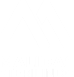 Malidas Logo Combination Stack Light